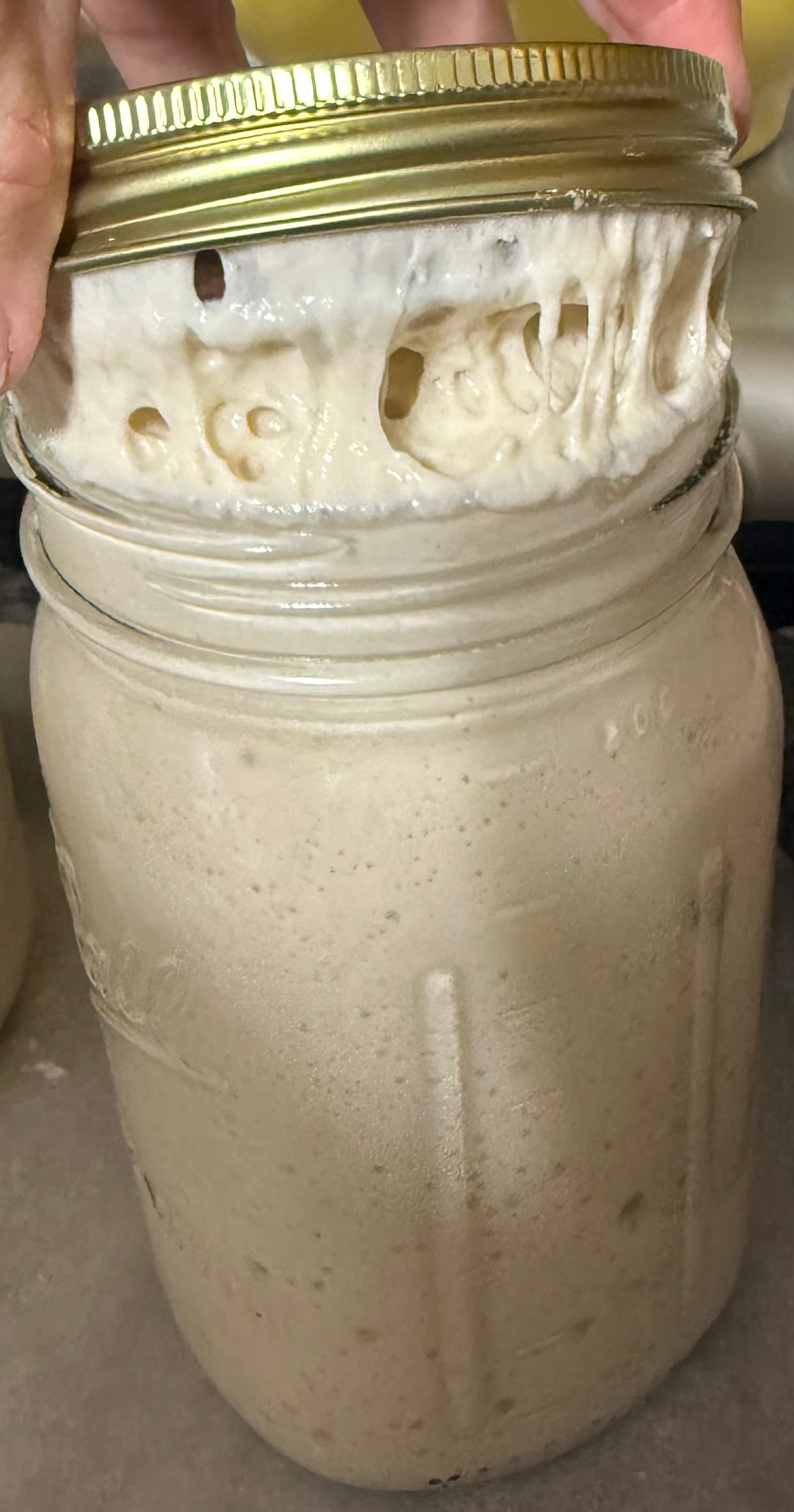 50g Organic Active Sourdough Starter – beginner friendly homemade bread